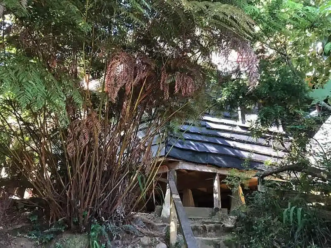 Casa 4 habitaciones - Imagen 3