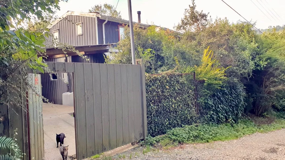 Se Vende Amplia Casa En Niebla - Imagen 3