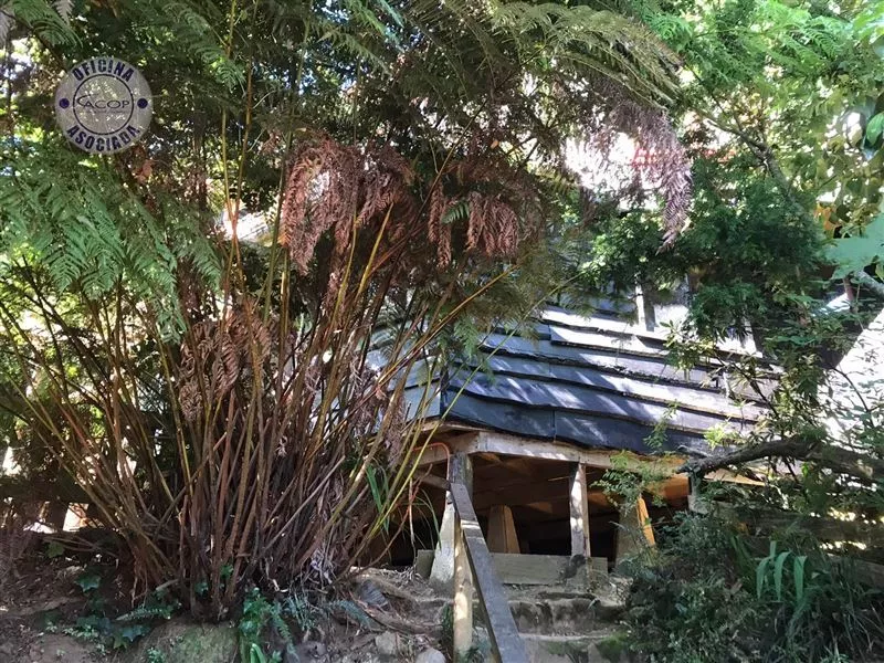 Venta De Cabaña Rustica Ubicada En Niebla,valdivia. - Imagen 5